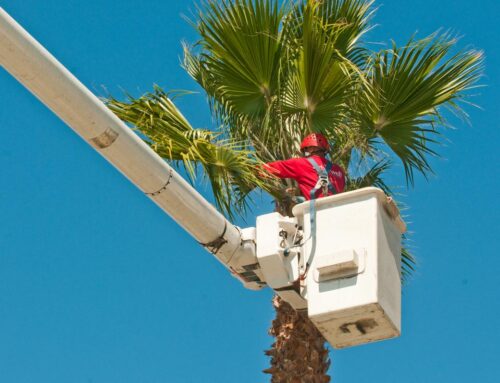 House Education and Labor Committee Seeks to Legislate a Heat Illness Protection Standard.