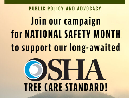 Take Action Now to Support the Tree Care Standard