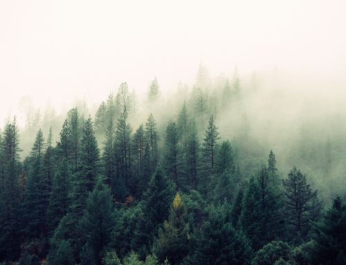 Clearing the Air on Advocacy (and Getting More Members Involved)