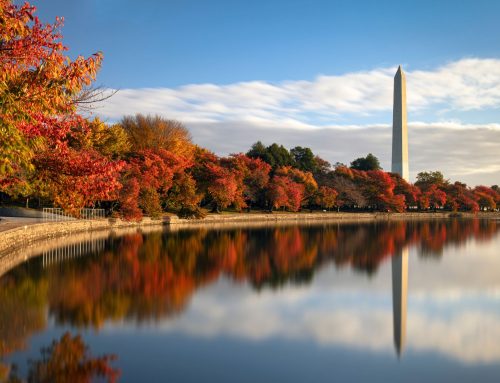 The Midterm Pause. What Happens to Our Priorities?
