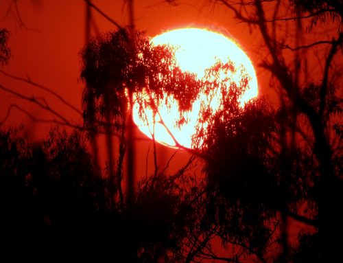 Common Ground in a Changing Climate