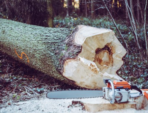 Beyond Chainsaws and Chippers